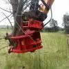 Tree-Shear