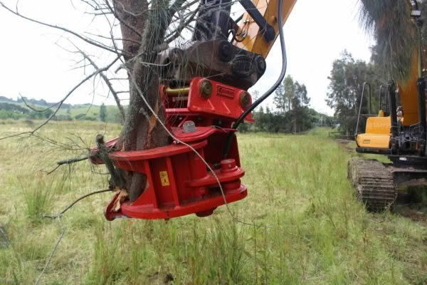 Tree-Shear
