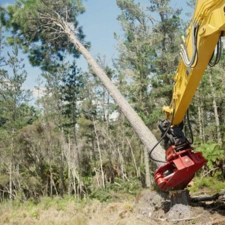 Tree-Shear