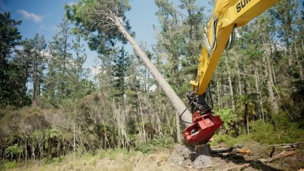 Tree-Shear
