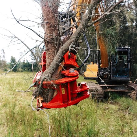 Vegetation Management